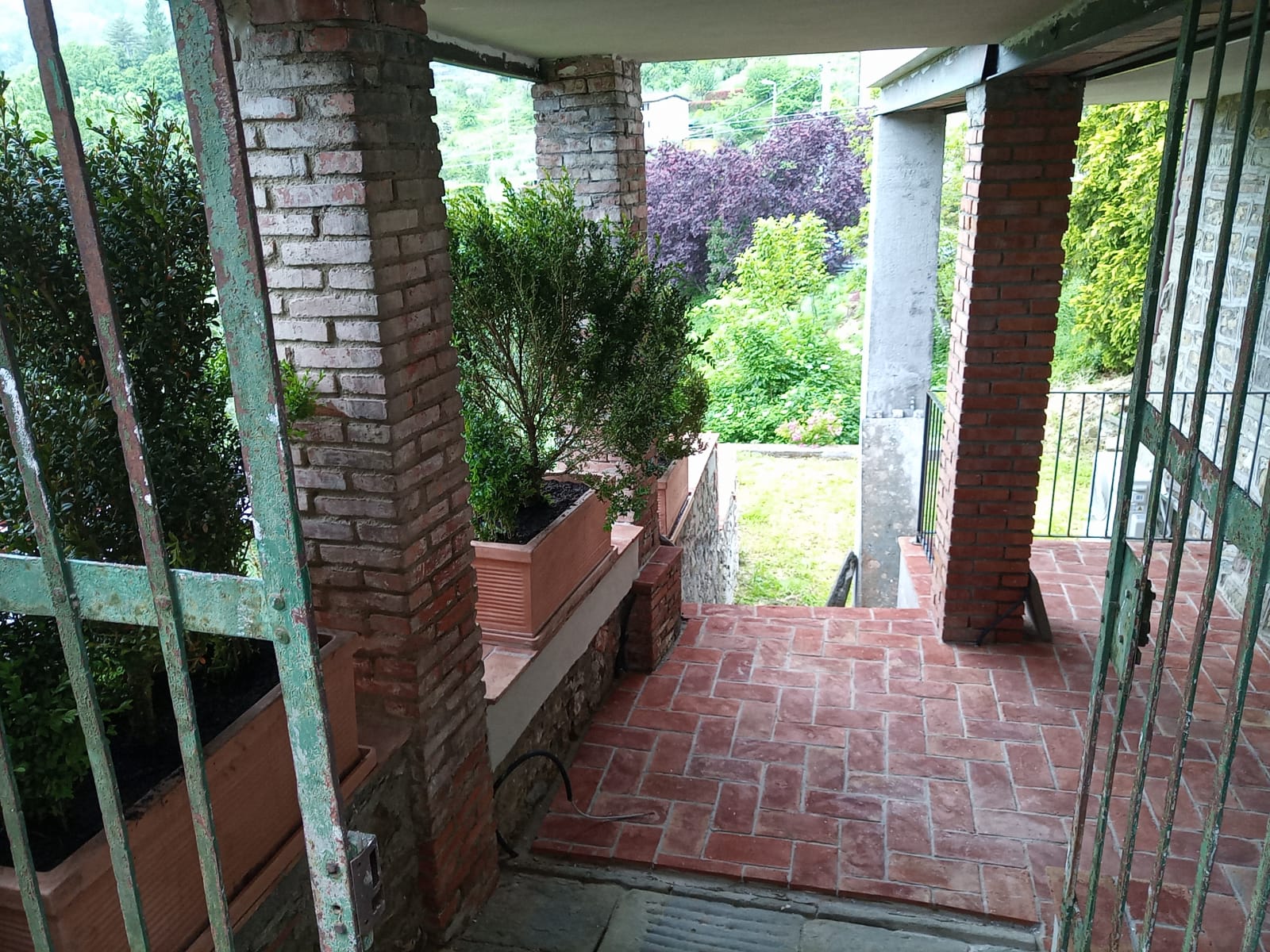 Foto 5